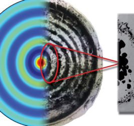 Juarez Lab: Nanoparticles dispersed in a polymer medium assembled into a concentric ring pattern using an acoustic field and immobilized using UV light (https://doi.org/10.1016/j.ces.2018.06.068).